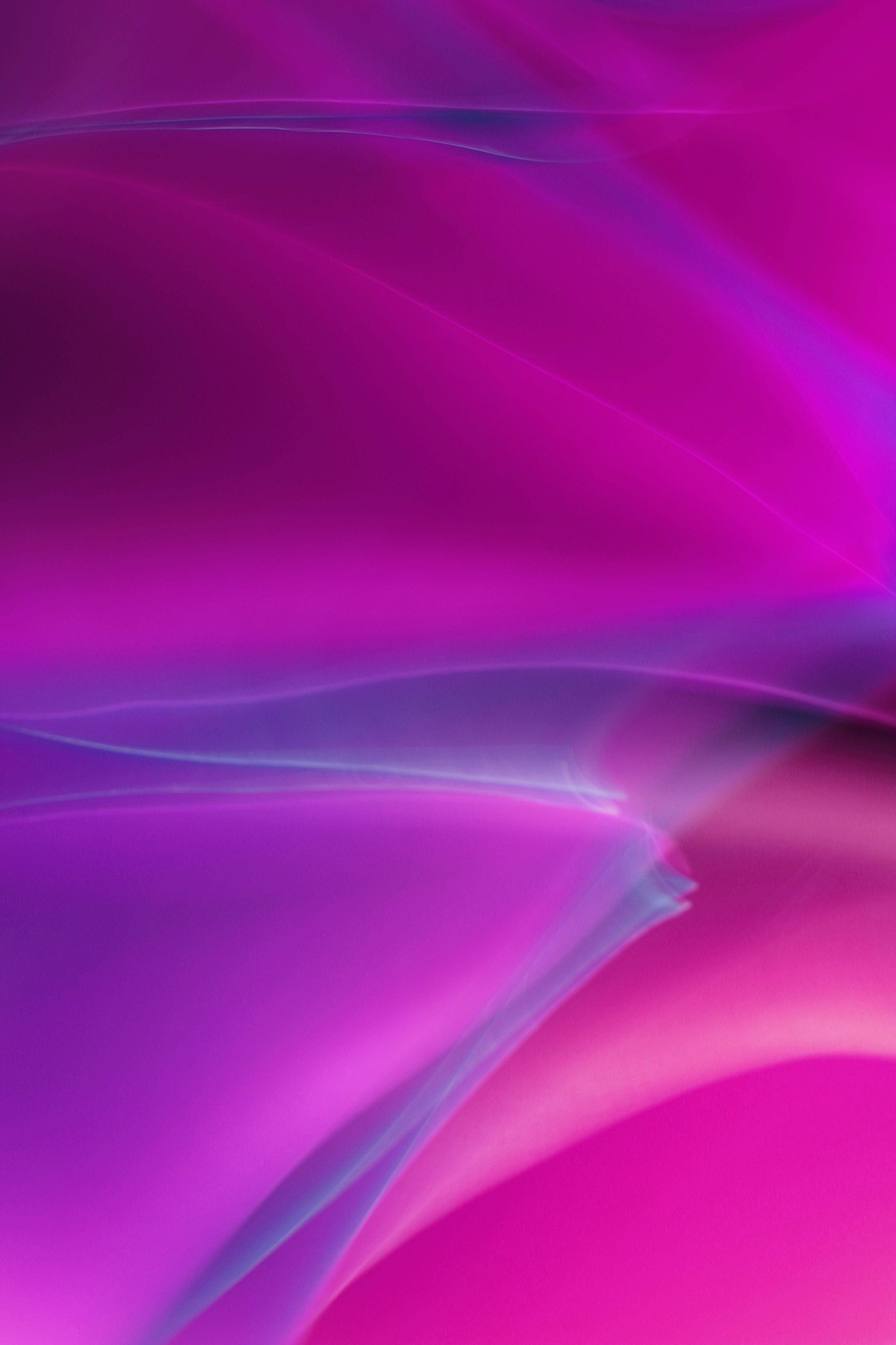 Vibrant Abstract Pink and Purple Waves · Free Stock Photo