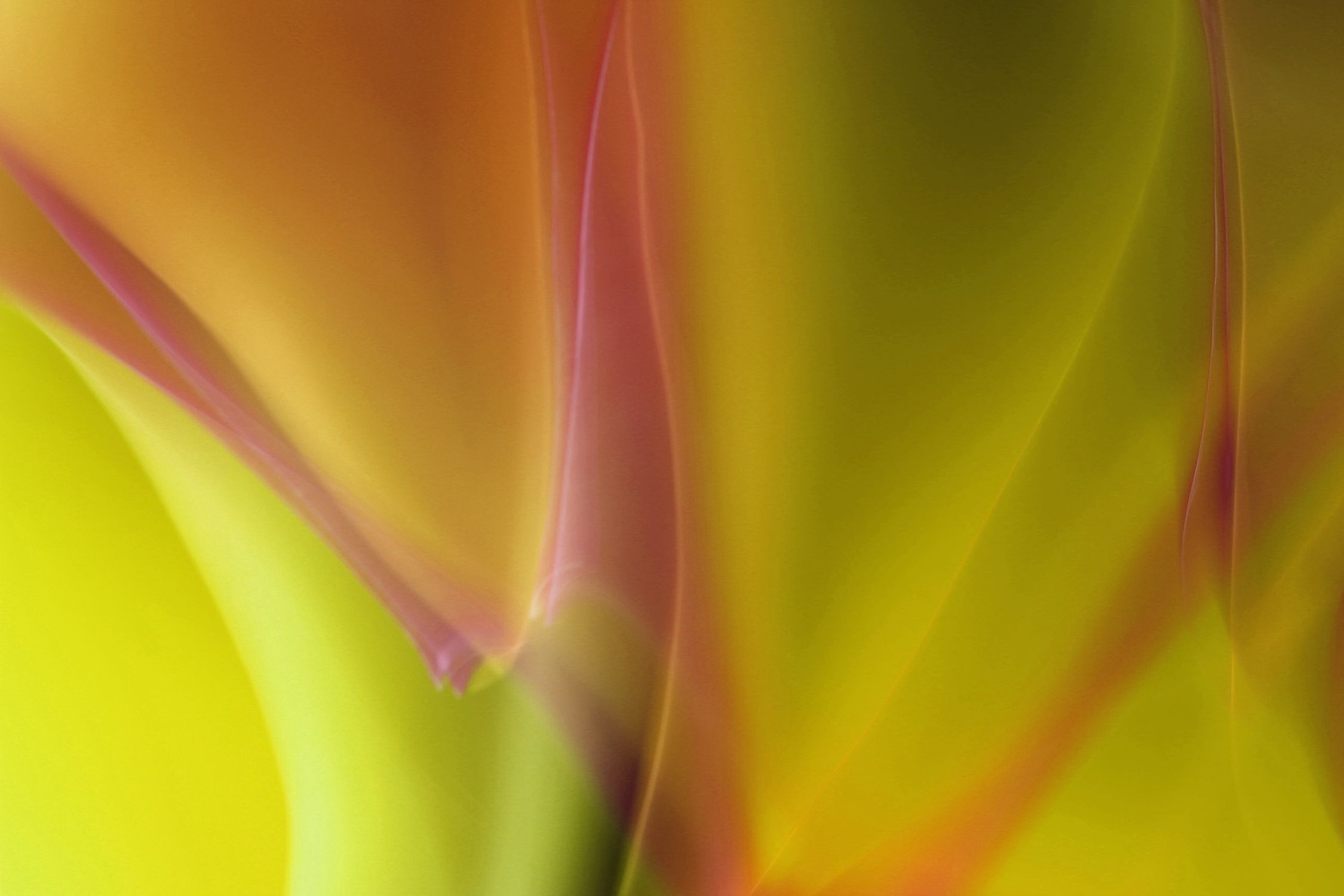 Abstract Colorful Light Patterns in Guaratuba · Free Stock Photo