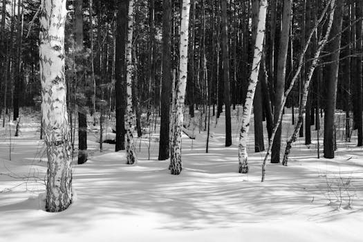 Image by Mikhail Peace