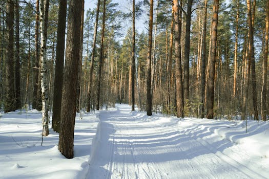 Image by Mikhail Peace