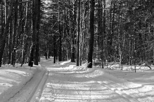 Image by Mikhail Peace