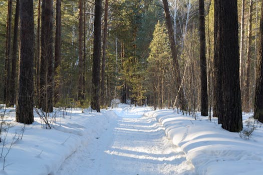 Image by Mikhail Peace