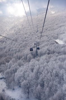 Aerial view of cable car traveling over a snow-covered forest, creating a serene winter scene.
