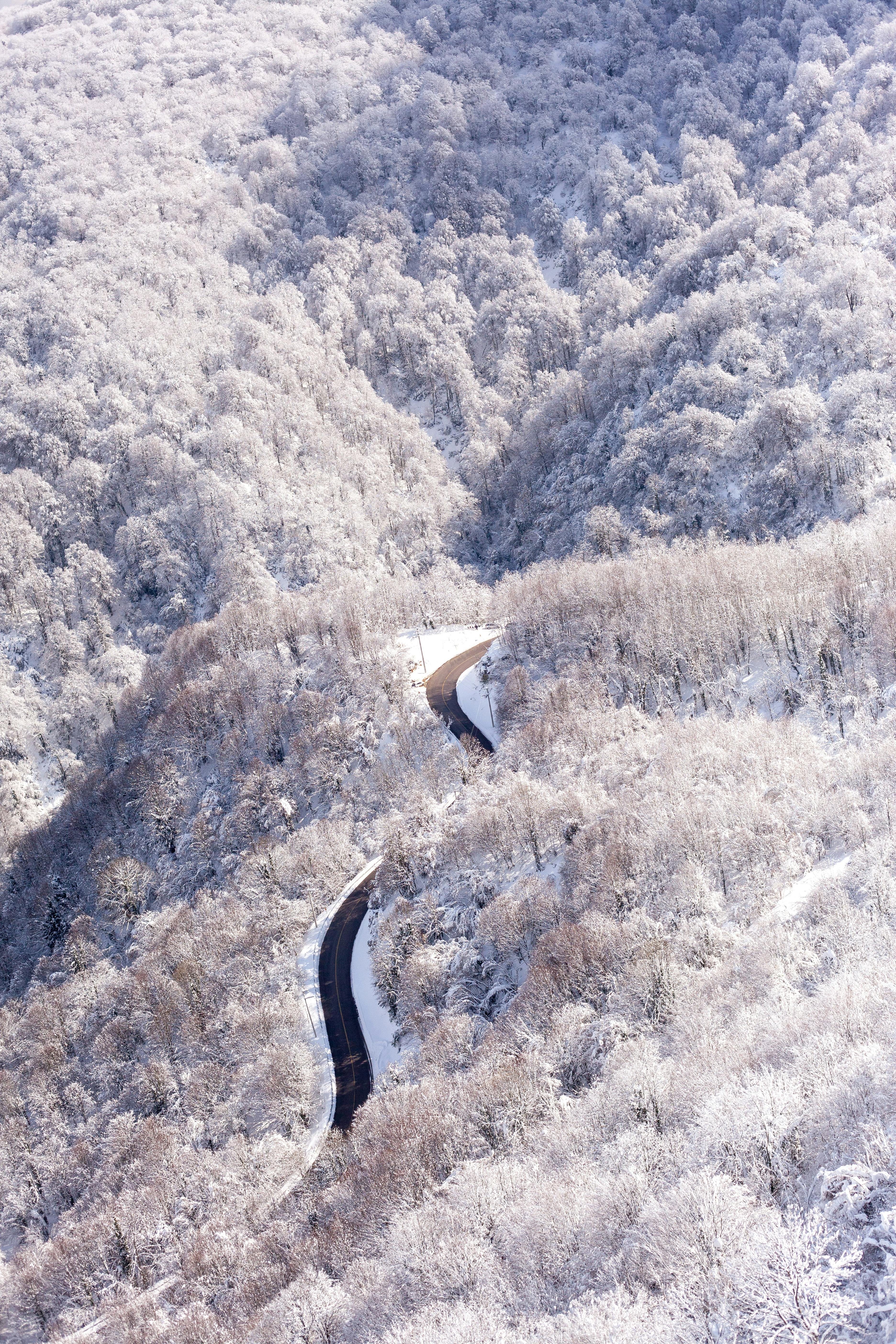 Aerial view of a snow-covered forest with a winding road cutting through the landscape.