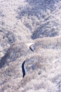 Aerial view of a snow-covered forest with a winding road cutting through the landscape.