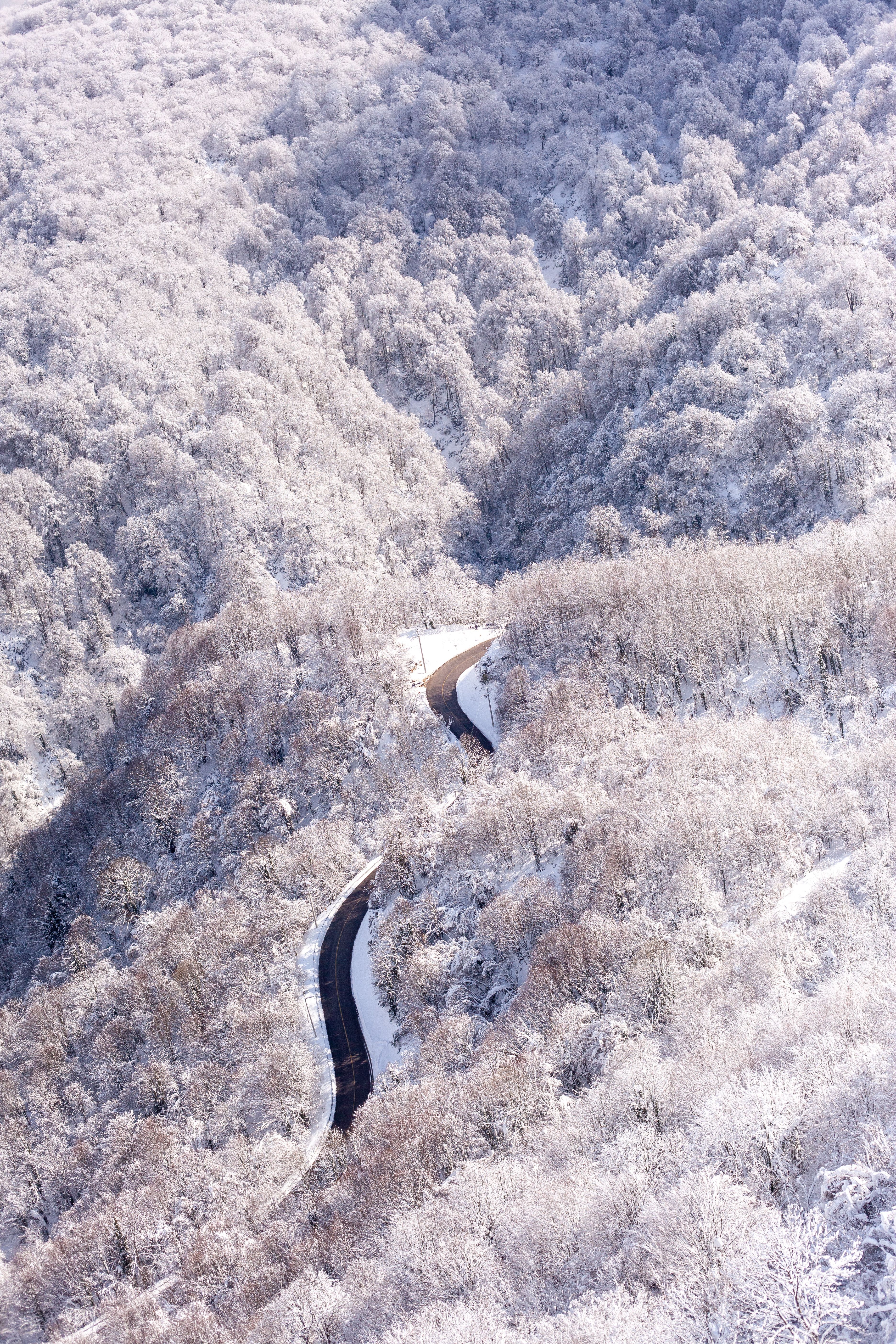 Snow-Covered Forest and Winding Road Aerial View · Free Stock Photo
