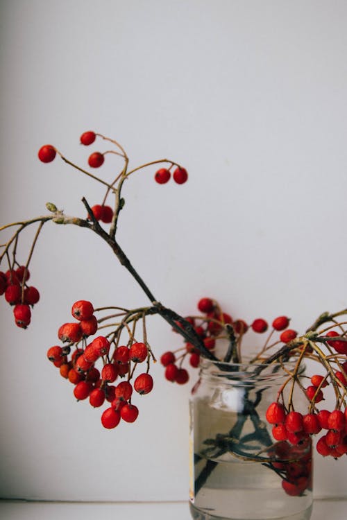 Indoor Decor Of Red Berries on Jar