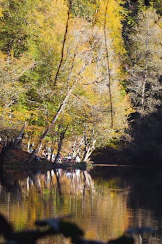 Image by Rüveyda Akkaya