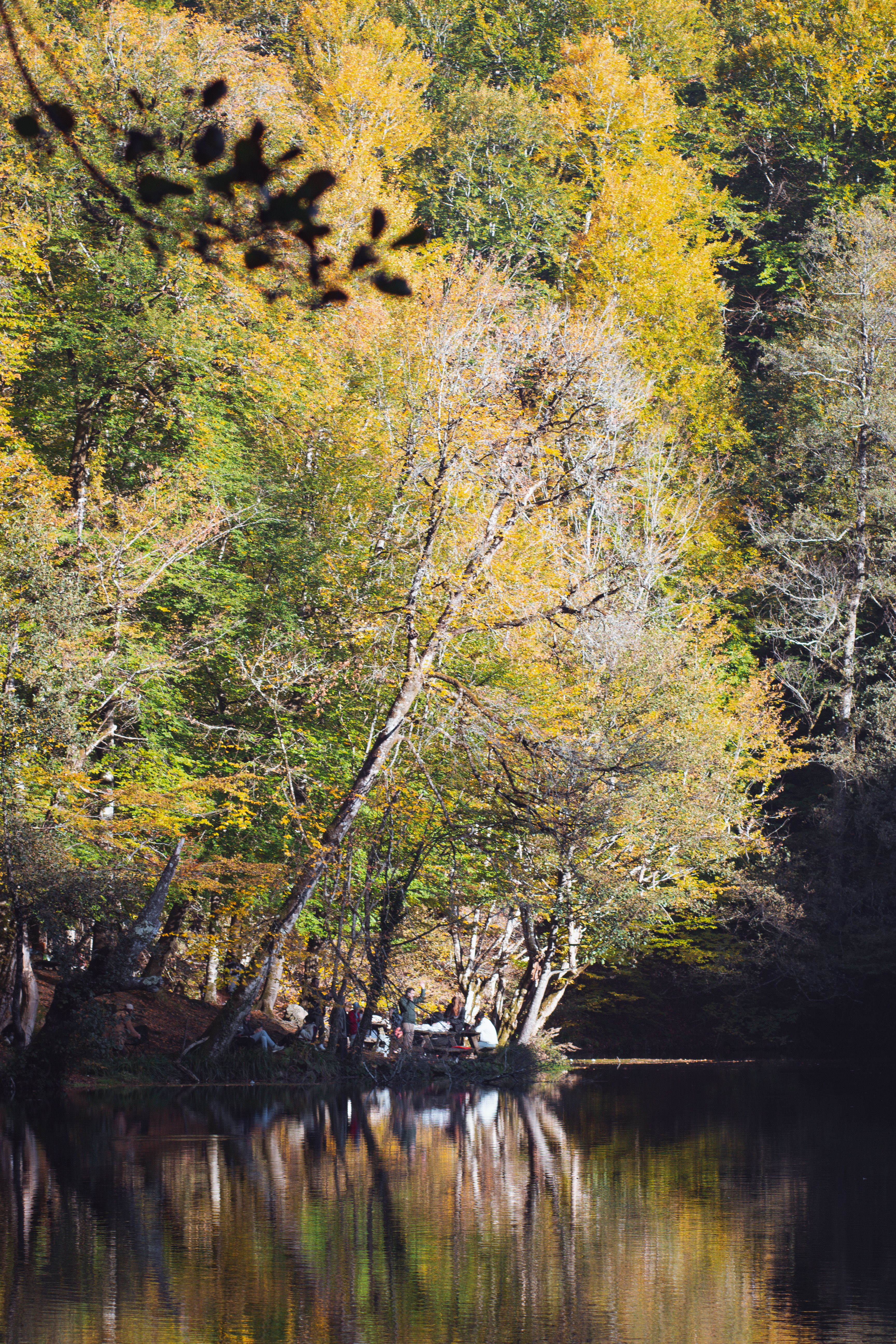 Serene Autumn Landscape by the Lake · Free Stock Photo