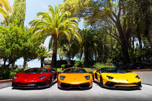 Free Three vibrant Lamborghinis parked under palm trees on a sunny day, exuding luxury and style. Stock Photo