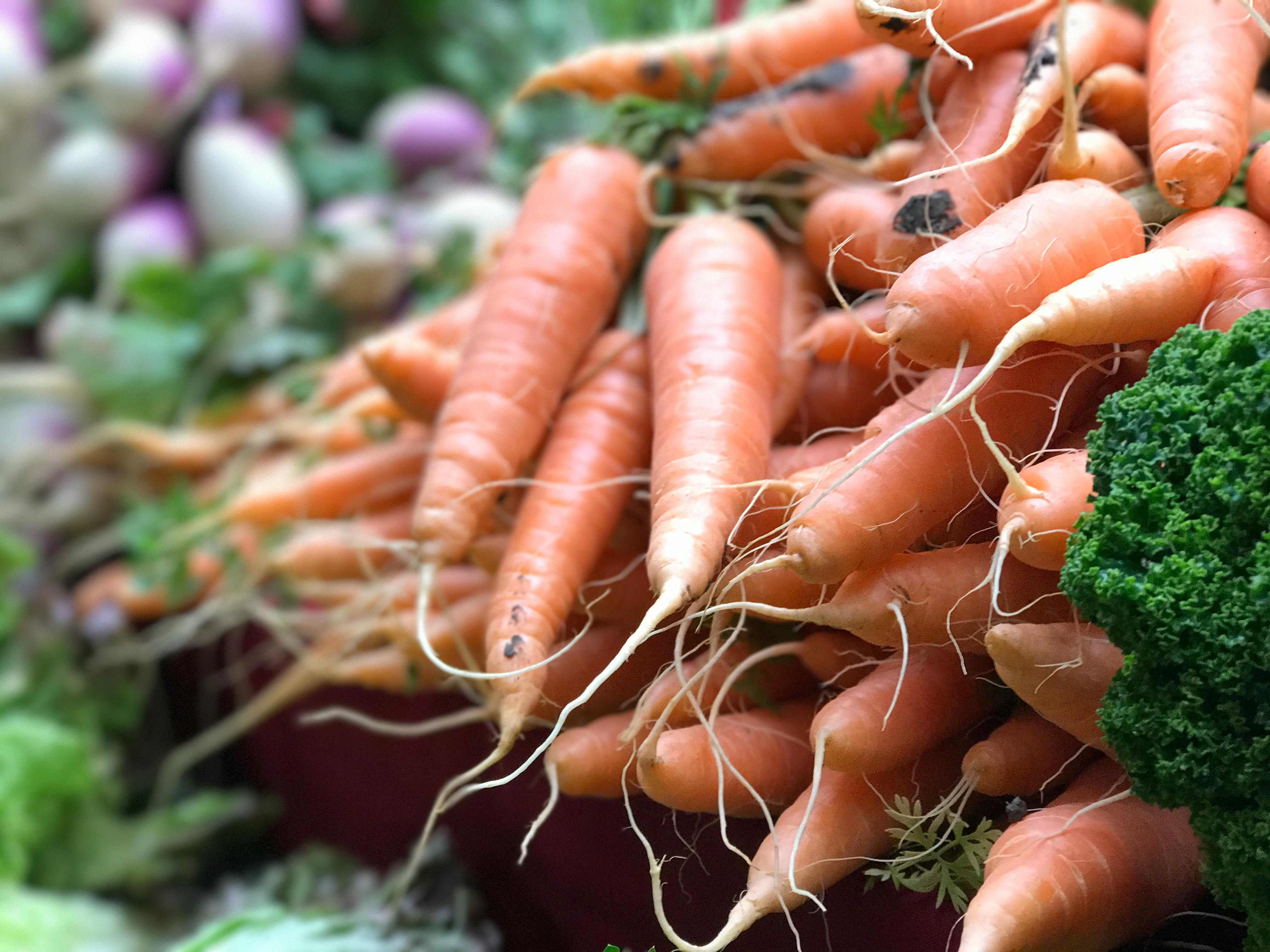 Close-up of fresh organic carrots stacked at a farmers market with greens.