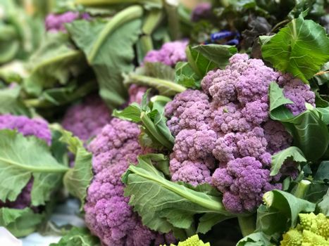 Vibrant purple cauliflower with lush green leaves on display, perfect for healthy meals.