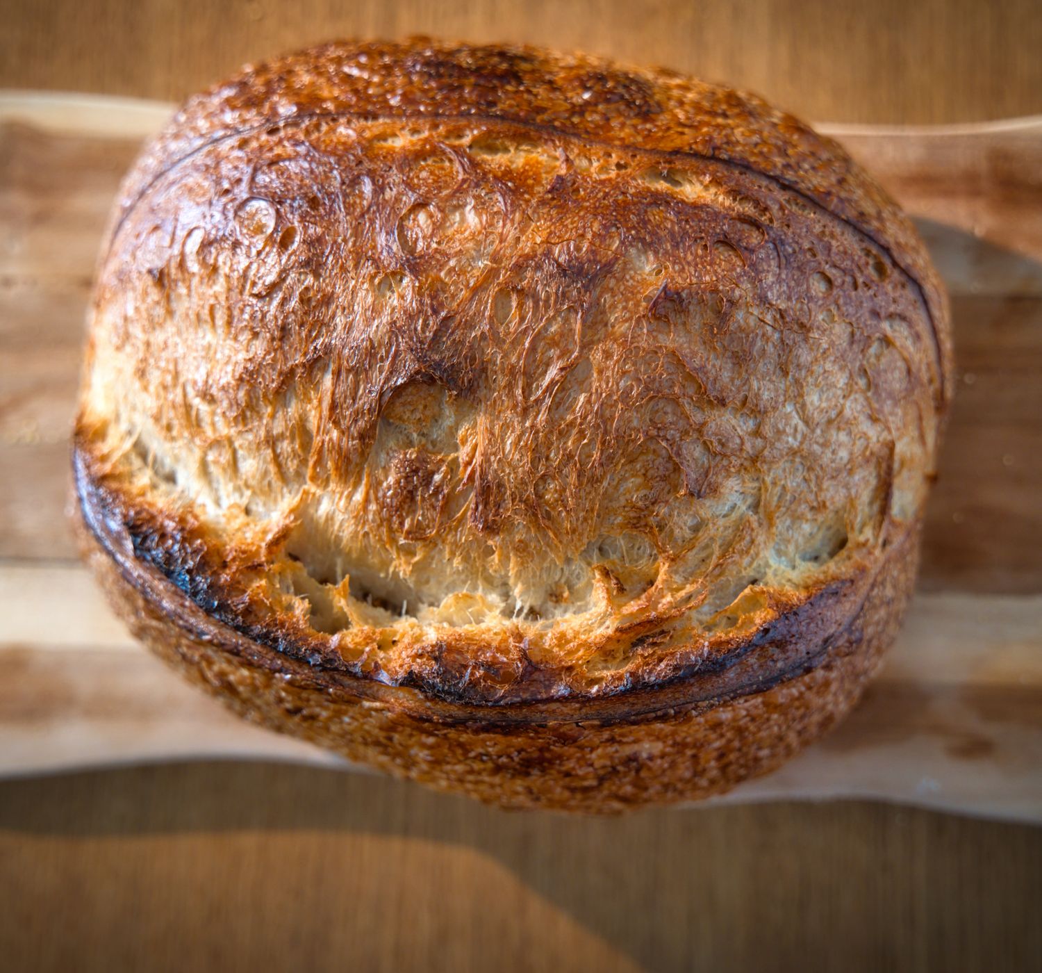 A beautifully baked artisan bread on a wooden cutting board under natural light.