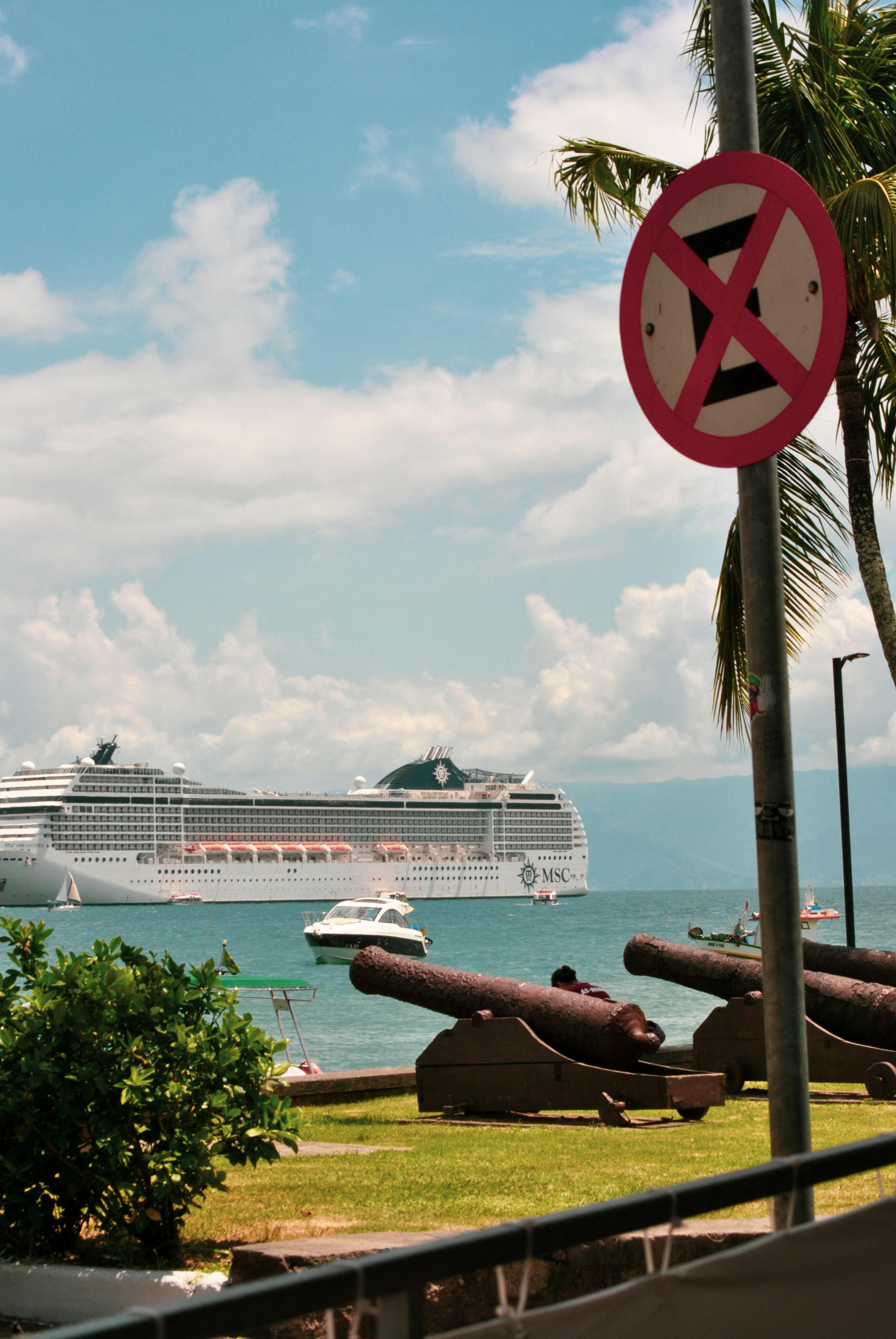 cruise ship in tropical harbor