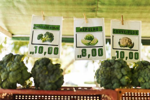 Colorful display of fresh vegetables with price tags at a local market, showcasing broccoli, cabbage, and cauliflower.