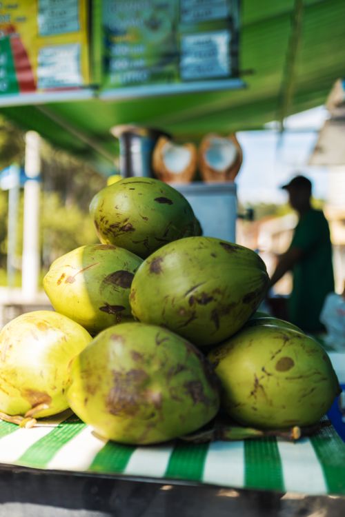 Free A vibrant display of green coconuts at an outdoor market with a vendor in the background. Stock Photo