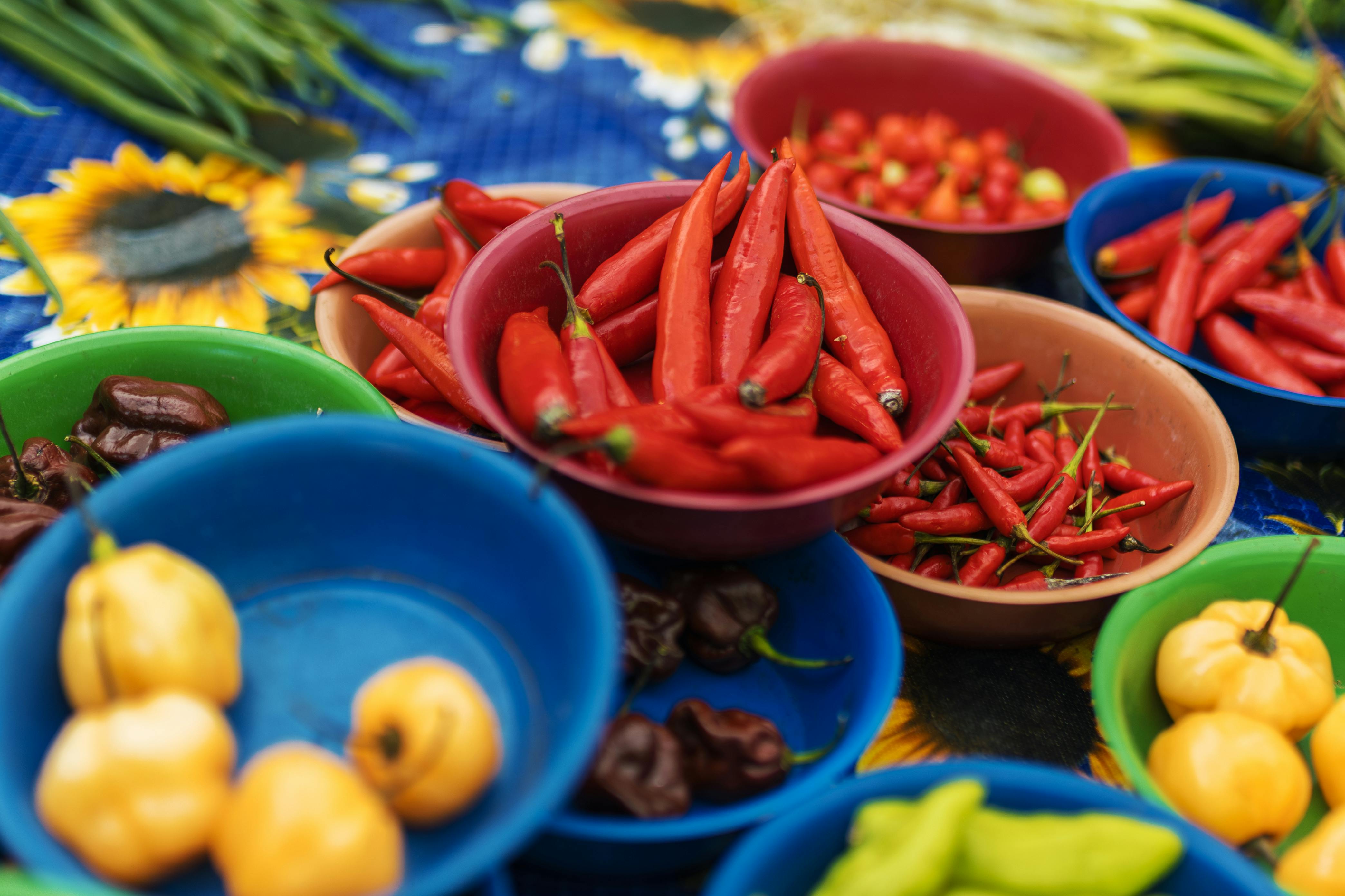 Variedad de verduras frescas y coloridas en una mesa.