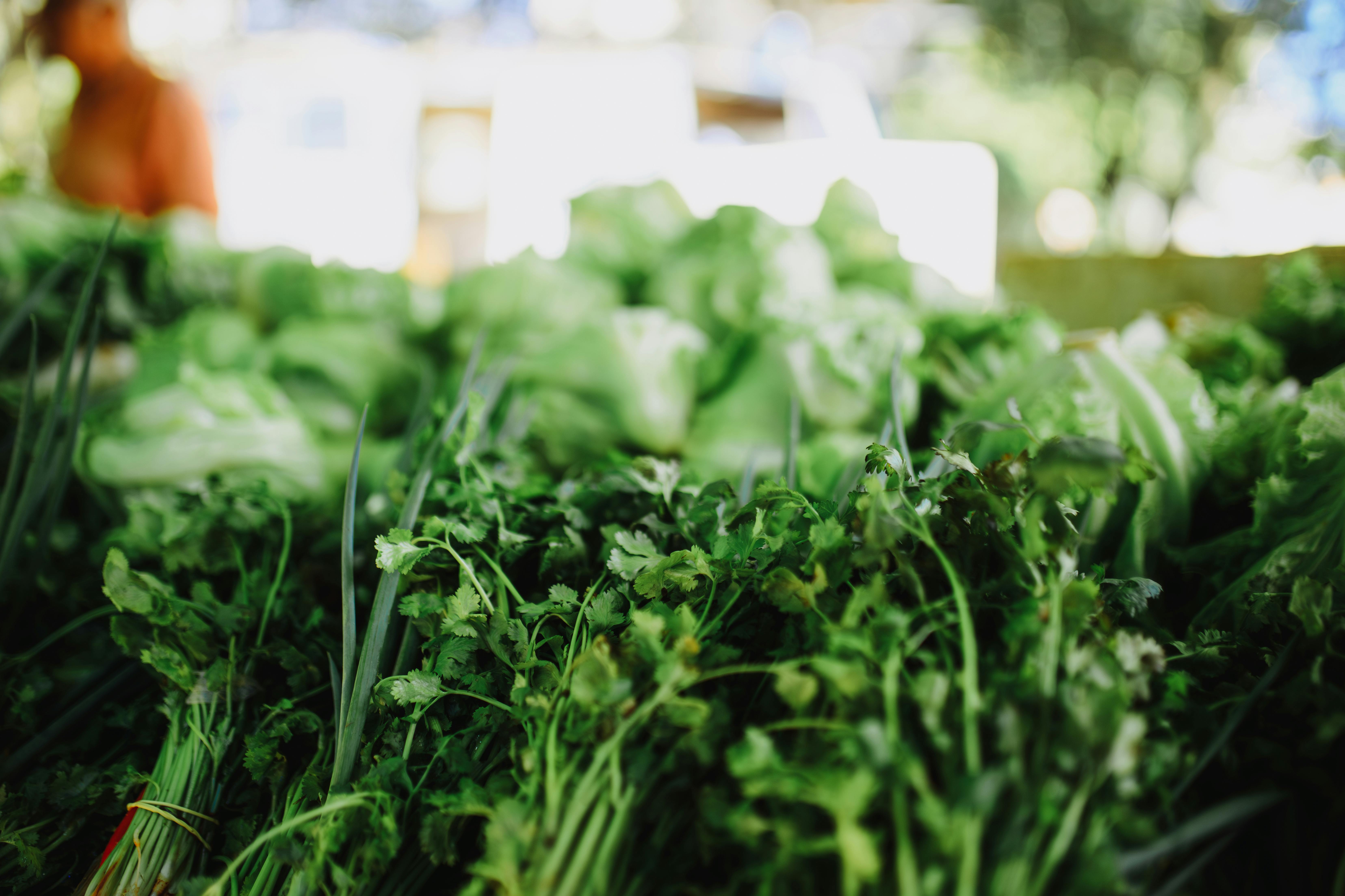 40+ Budget-Friendly Plant-Based Recipes to Help You Eat Healthy for Less — Photo by Matheus Bertelli on Pexels