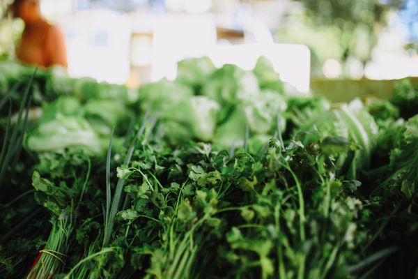 A market display of fresh green vegetables and herbs, photo by Matheus Bertelli on Pexels