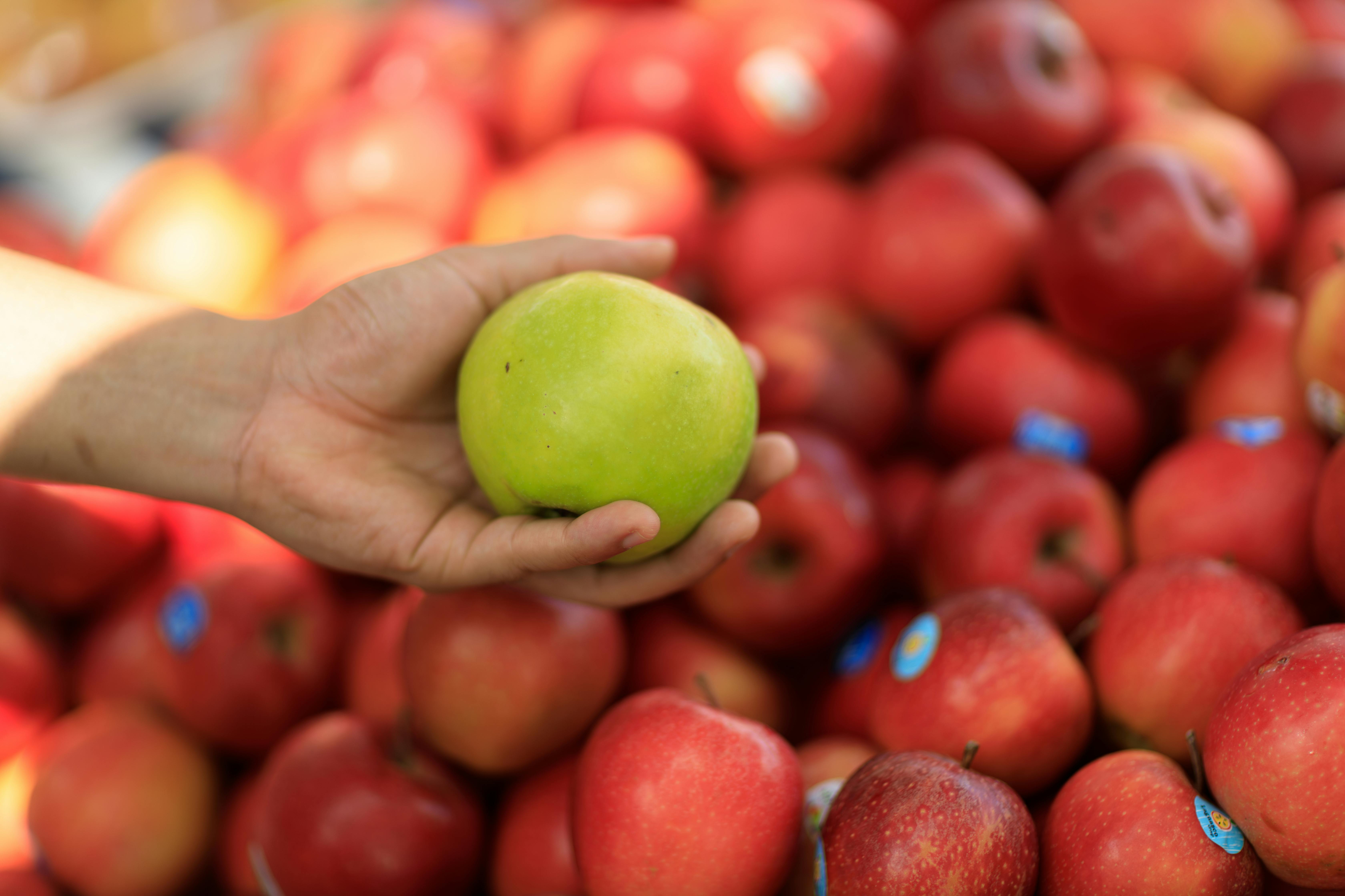 Nude+Amature+Grannies Photos, Download The BEST Free Nude+Amature