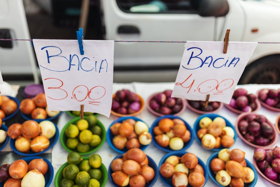 affordable digital marketing services small business