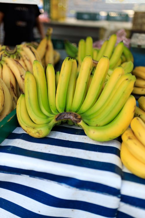 Free A vibrant display of bananas on a striped table at an outdoor market, showcasing fresh produce. Stock Photo