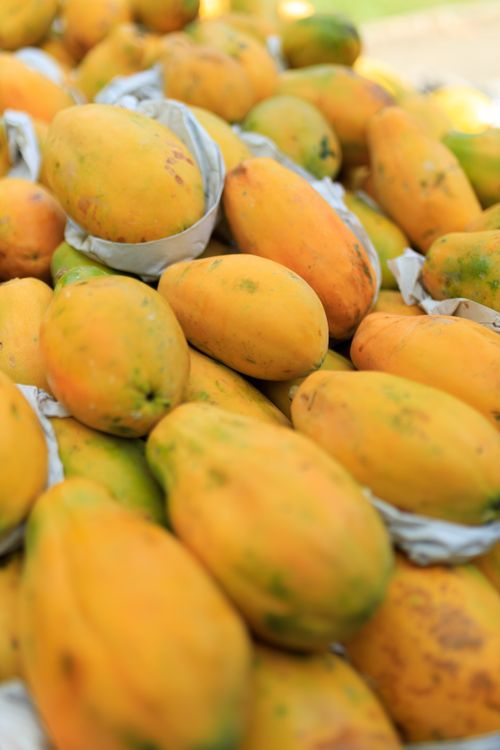 Free A vibrant display of ripe papayas stacked in an outdoor market, showcasing fresh produce. Stock Photo