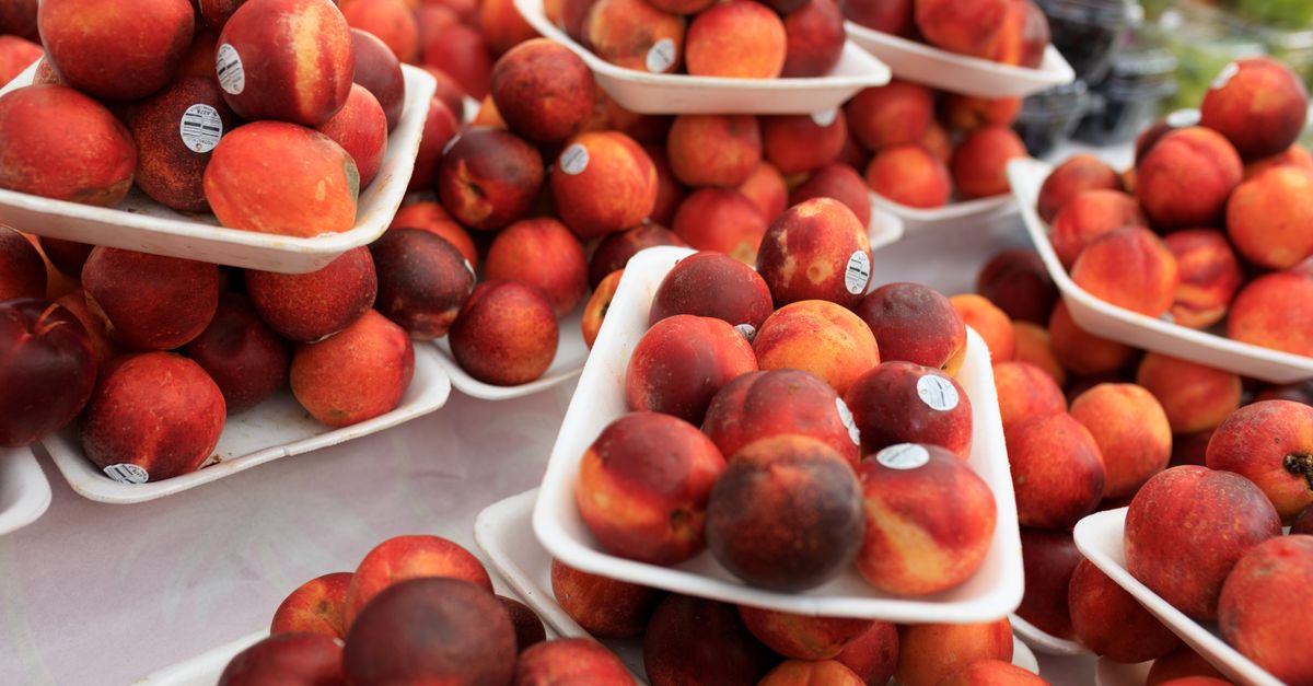 Les Bienfaits des Fruits de Saison dans Votre Panier de Fruits