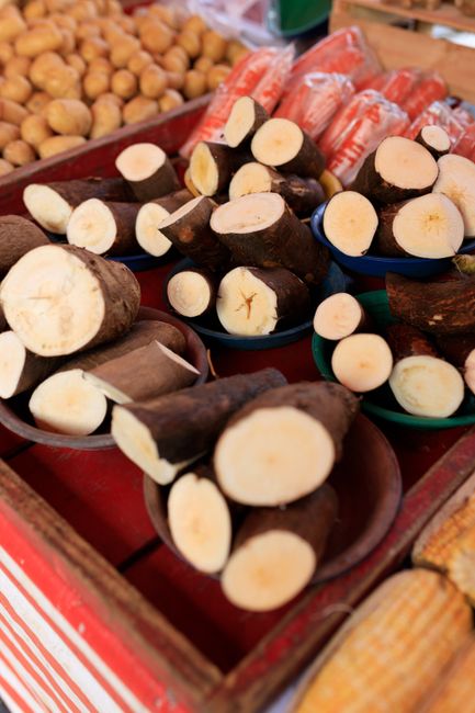 Peeled yucca root cut into batons next to a plate of golden double-fried yucca fries served with garlic aioli
