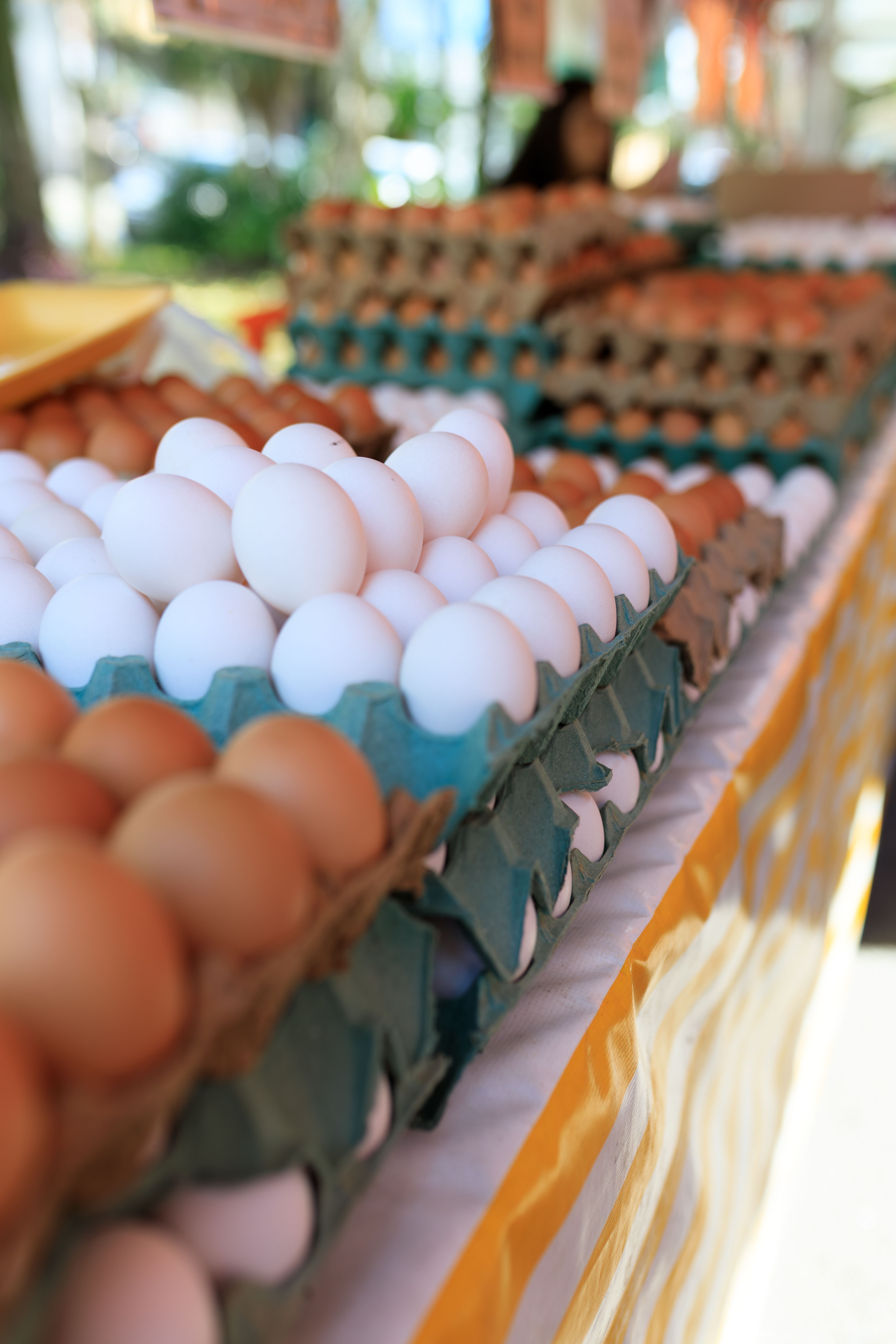 Brown and white eggs in cartons at a market stall