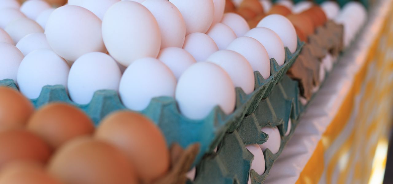 Brown and white eggs in cartons at a market stall