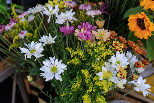 A vibrant bouquet of mixed fresh flowers showcasing daisies, chrysanthemums, and sunflowers.