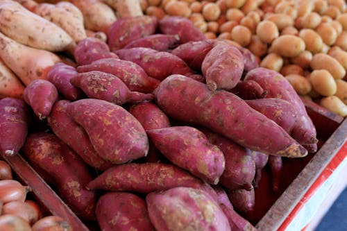 Sweet Potatoes Are Taking Over Autumn Menus — Here’s Why