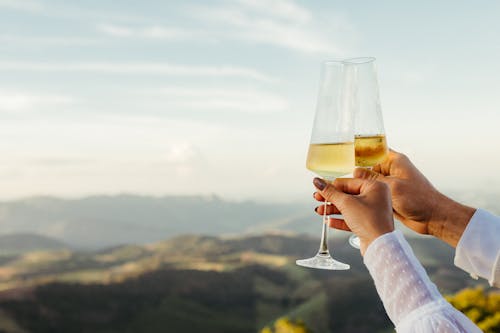 ชนแก้วแชมเปญกับวิวภูเขาสุดหรู