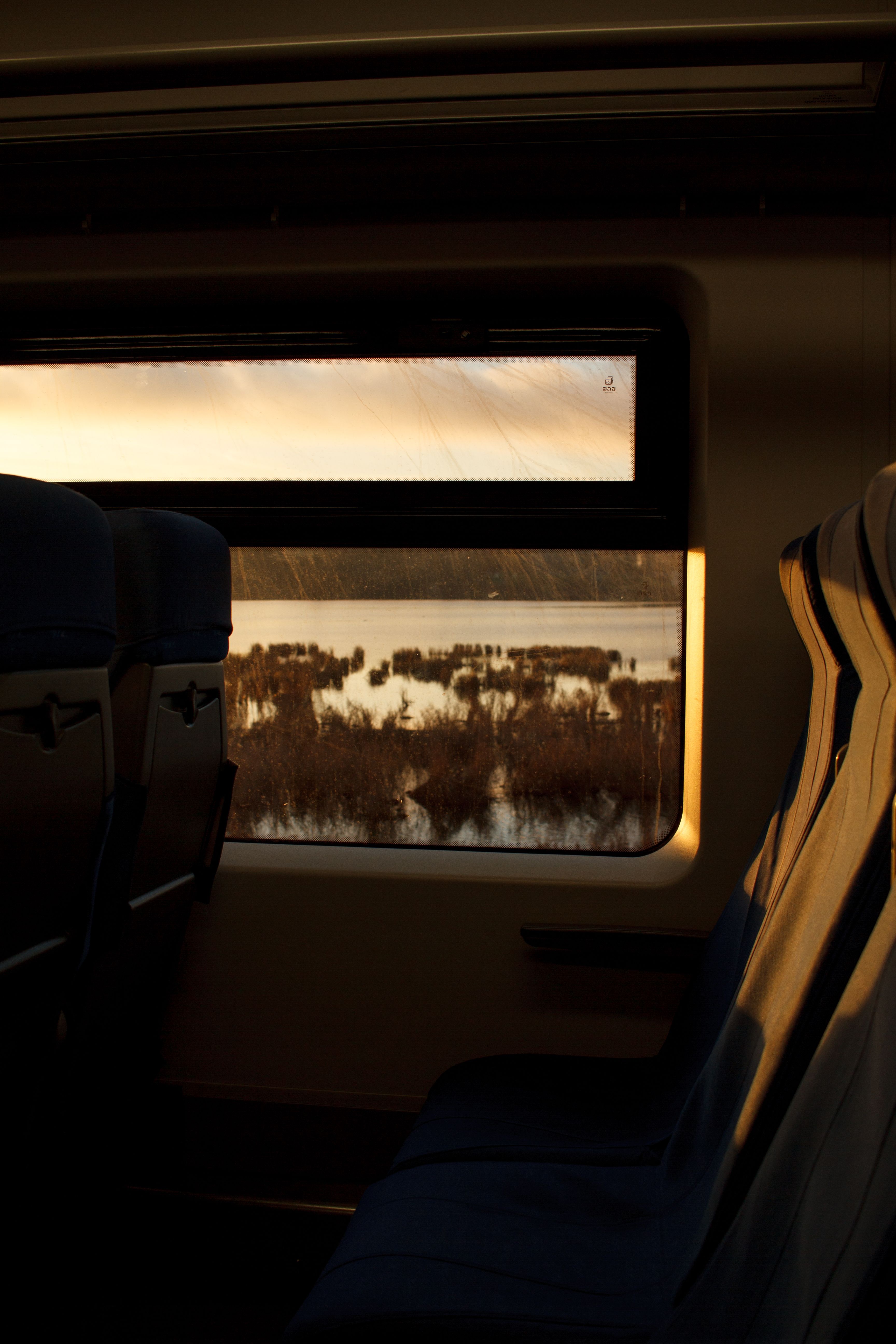 Scenic Train Ride at Sunset in St. Petersburg · Free Stock Photo