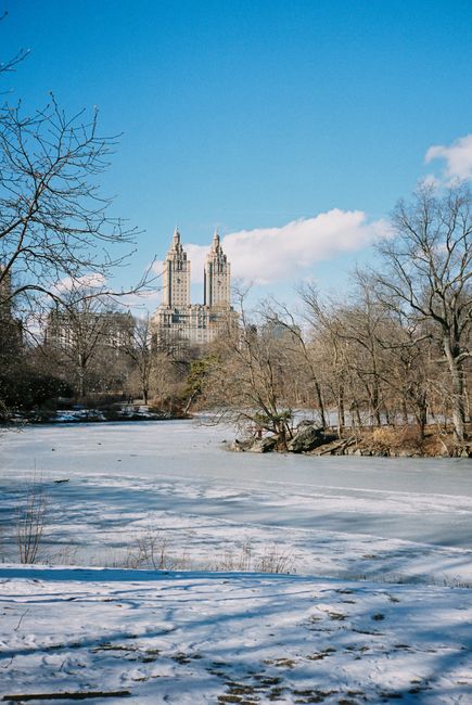 Winter scene in Central Park, New York City, featuring the iconic skyline under a clear blue sky.