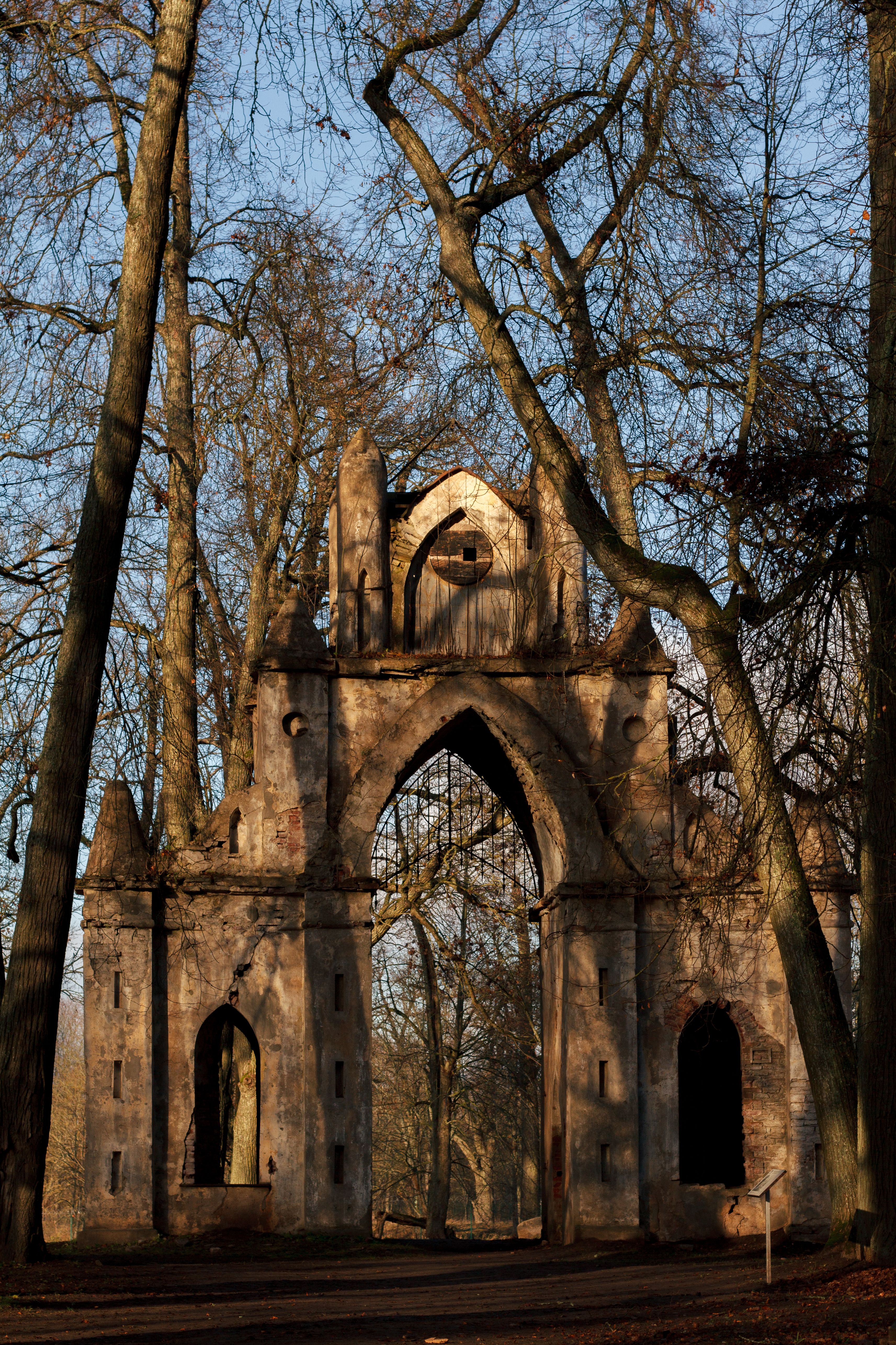 The ruins of a Gothic-style church framed by tall bare trees during autumn sunset.