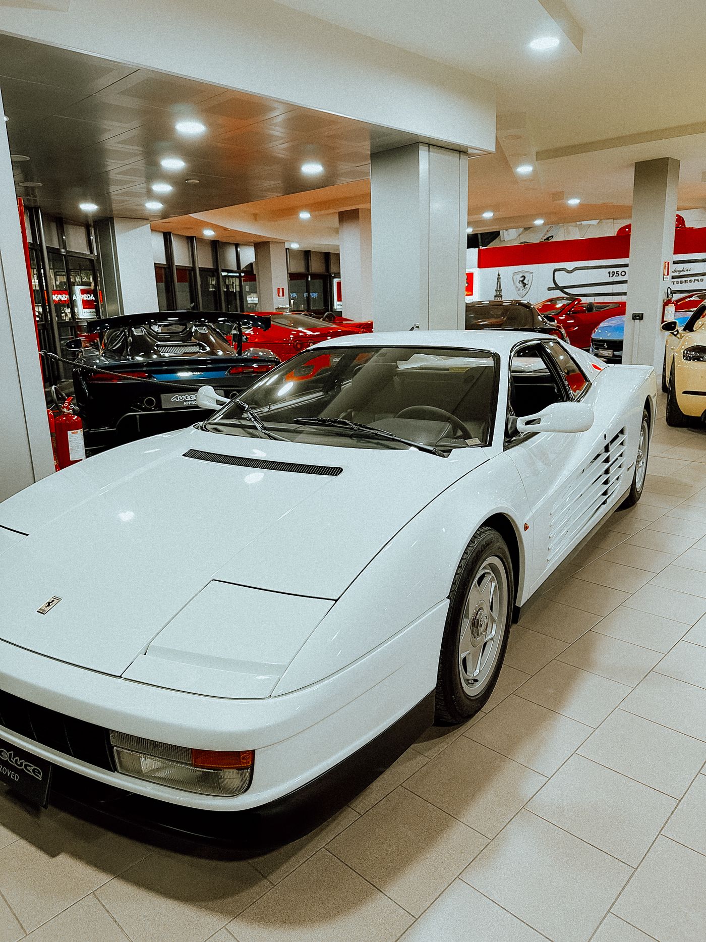 Premium vehicle in a modern dealership showroom