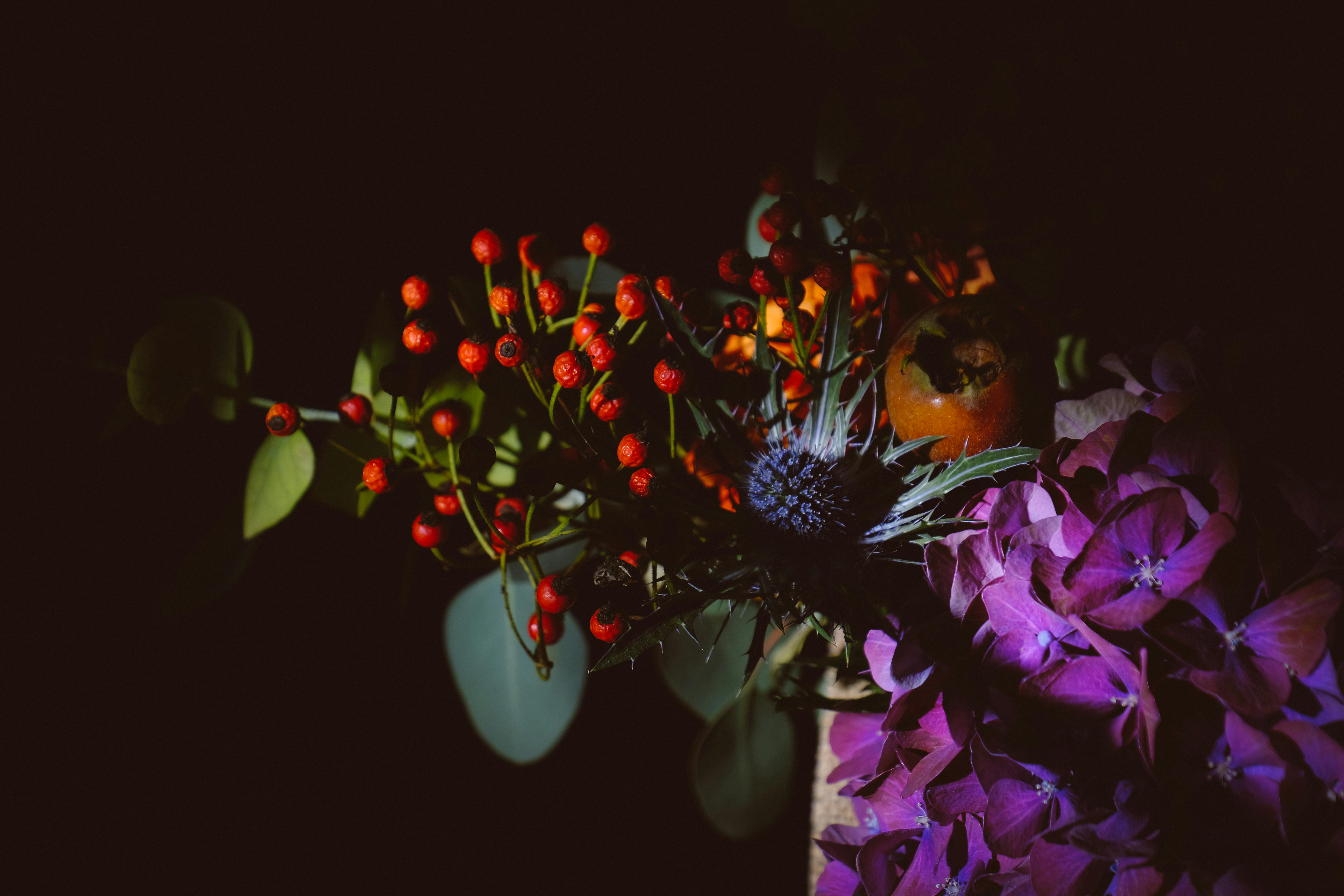 艺术描绘中，充满活力的花朵和浆果在戏剧性的低光下呈现