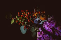 艺术描绘中，充满活力的花朵和浆果在戏剧性的低光下呈现