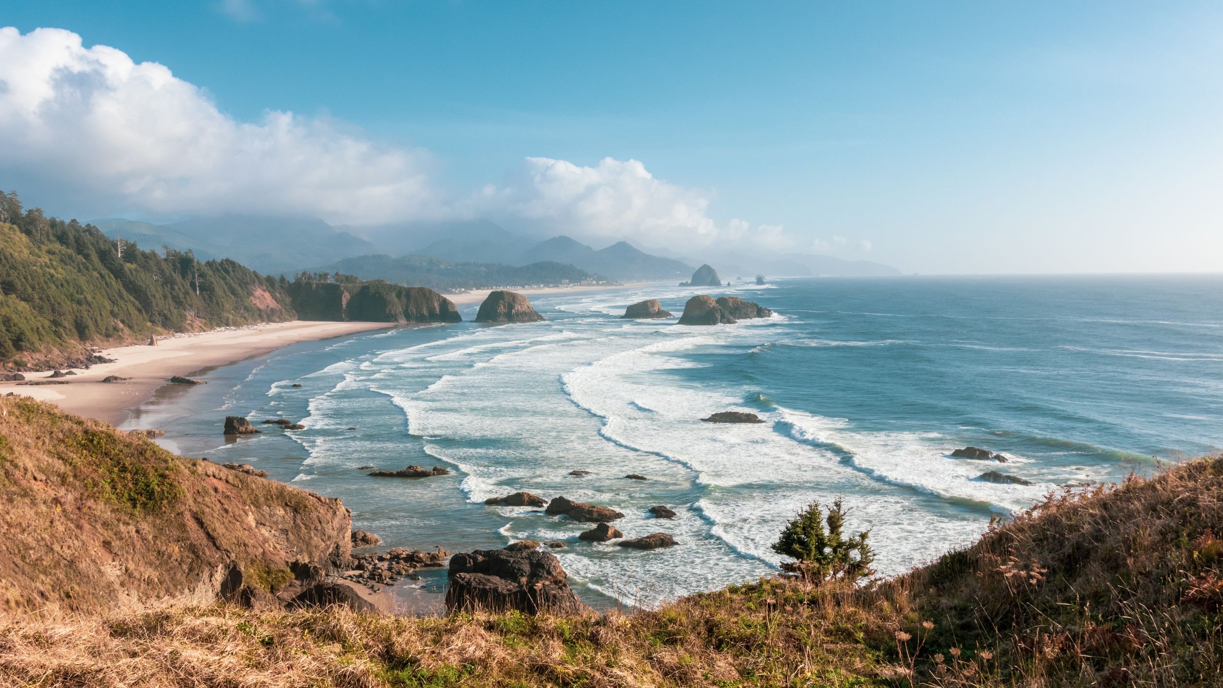 Oregon Coastline Scenic View of Cannon Beach, Oregon Coastline · Free Stock Photo