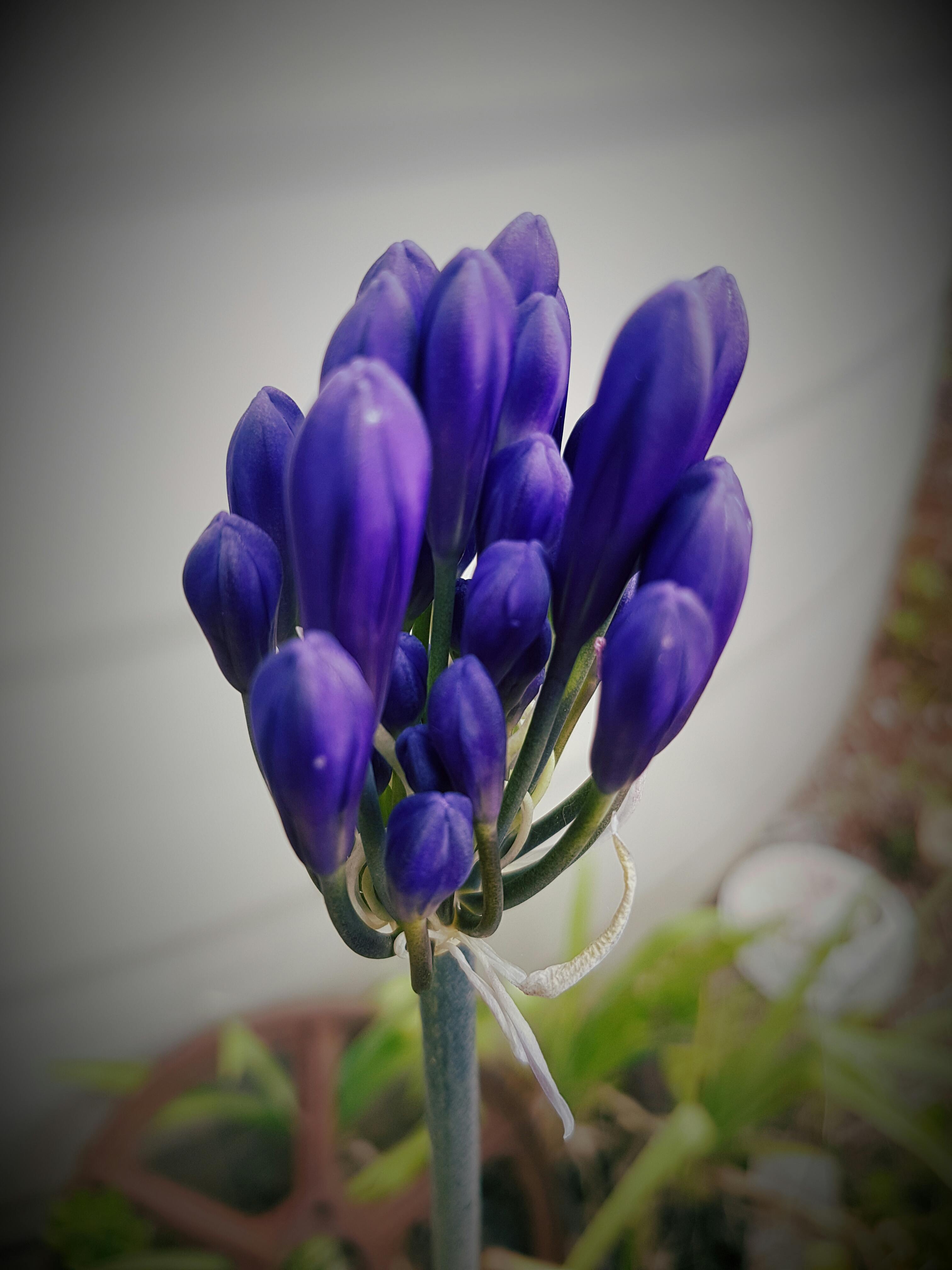 办公室内员工正在审阅合同