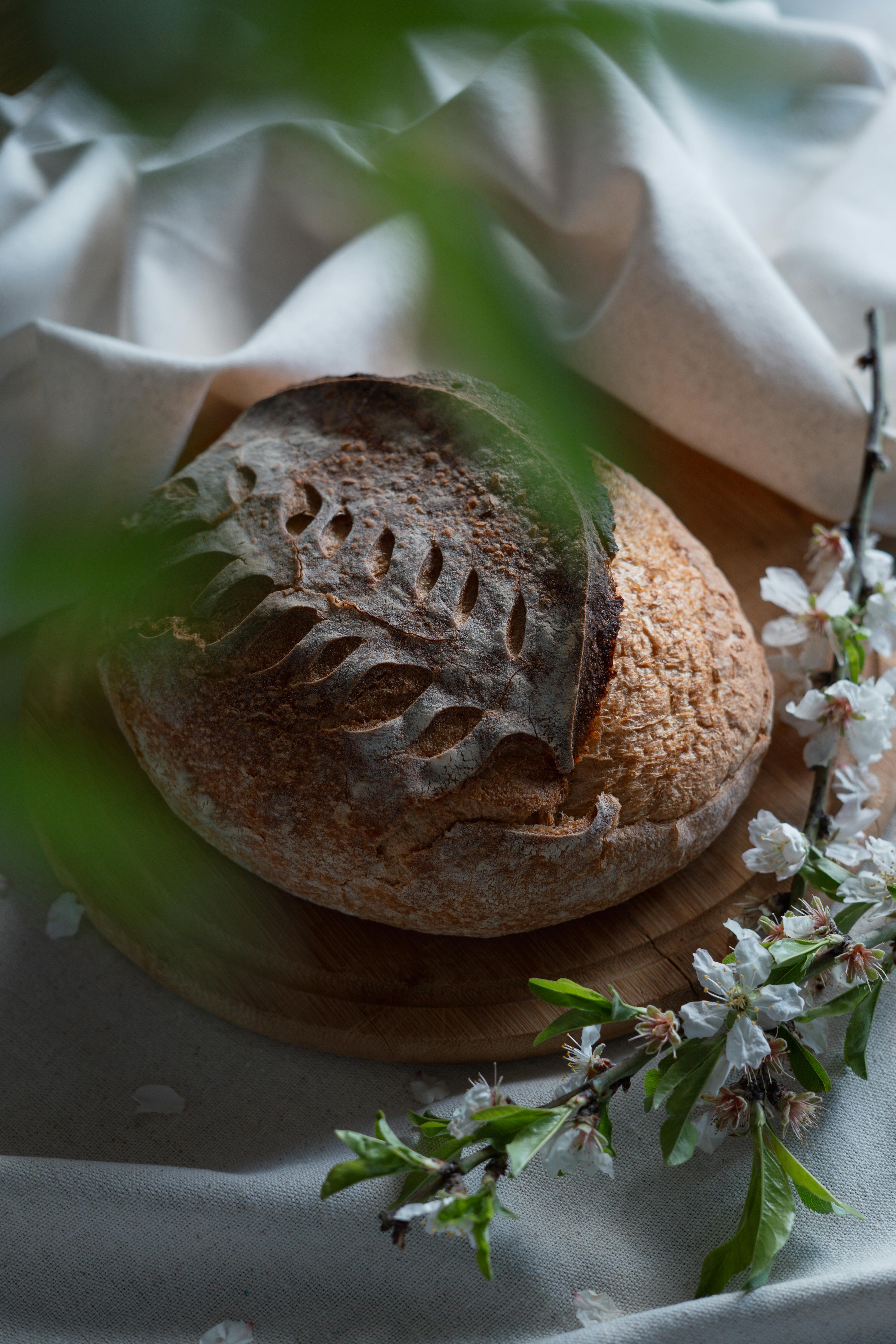 Bulk ferment timer — Tool tool