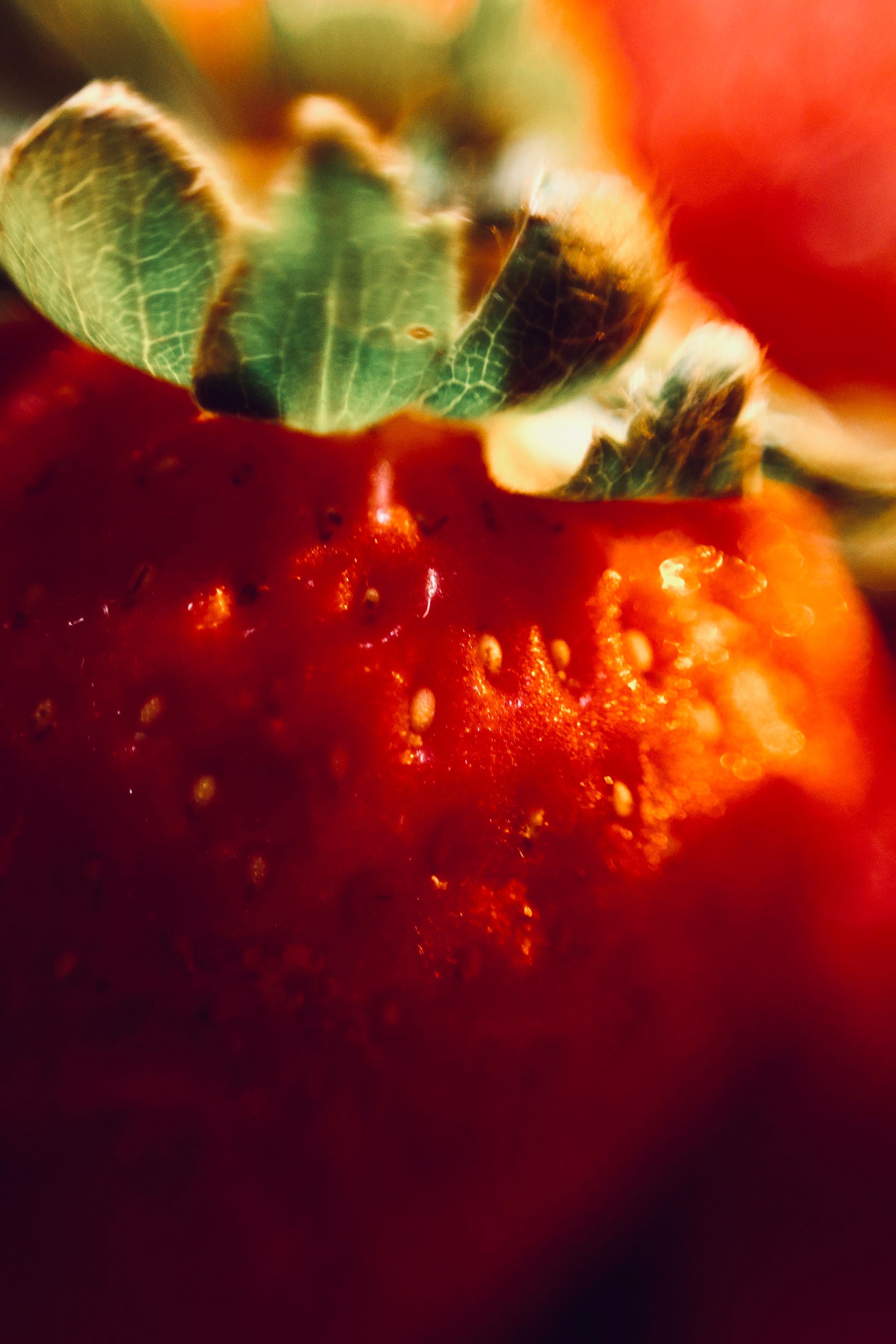 Close-up of a Ripe Red Strawberry Macro Shot · Free Stock Photo