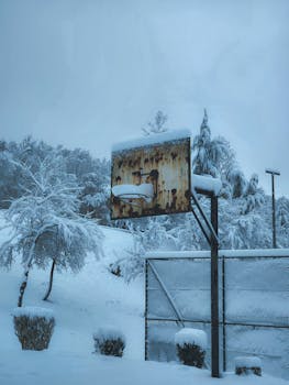 Rusty basketball hoop surrounded by snow-laden trees in a serene winter setting.