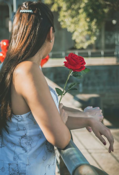 Free A woman in a white dress holds a red rose by a riverside under a sunny sky. Stock Photo