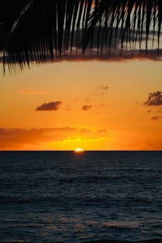 Vibrant tropical sunset over ocean with palm leaves silhouetted.