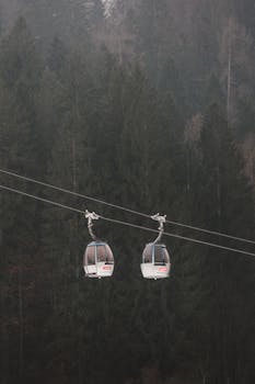 Peaceful aerial view of cable cars traversing a misty forest, perfect for serene travel and nature visuals.