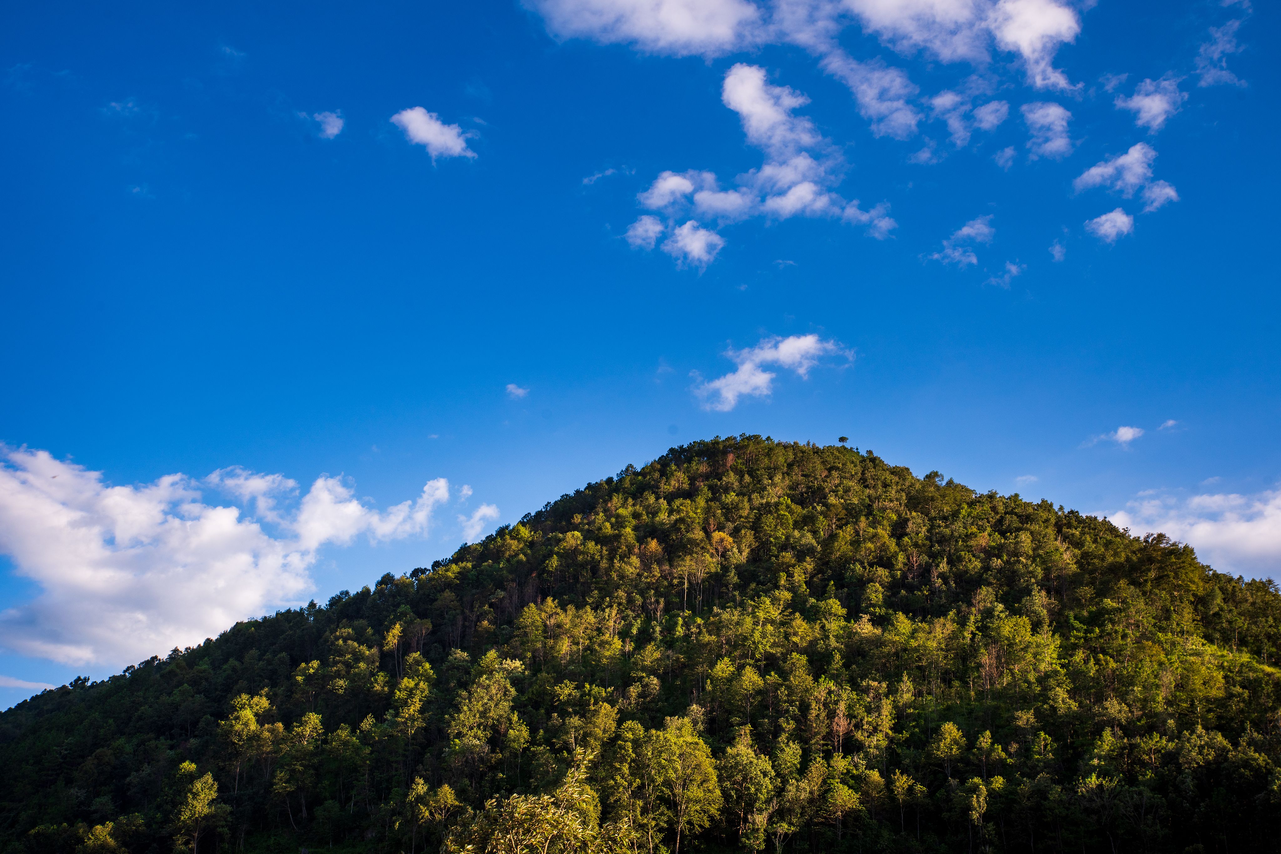 Lush Green Hill under Vibrant Blue Sky · Free Stock Photo