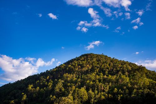 Free A lush green hill bathed in sunlight against a vibrant blue sky with fluffy clouds. Stock Photo
